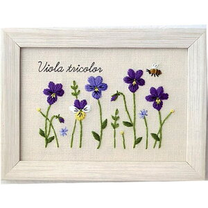 ؘaq hJLbg 12̐A蒟 Viola tricolorirIj