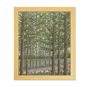 IpX NXXeb`hJLbg ImGEO~ ؁X̍ʂ J}cт̏