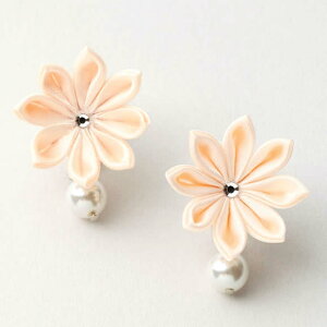 ܂ݍ׍H Lbg 炫 CO Lbg (x[W)