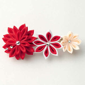 ܂ݍ׍H Lbg 炫 ߂ ob^Lbgiԁj