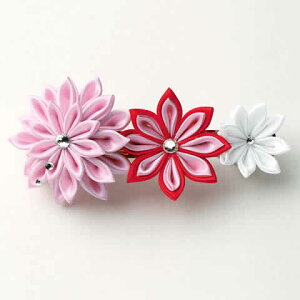 ܂ݍ׍H Lbg 炫 ߂ ob^LbgisNj