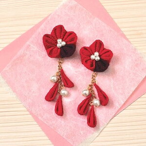 ܂ݍ׍H Lbg ߂ ʉ CO Lbgibhj