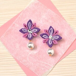 ߂ ܂ݍ׍H ʉ COip[vj