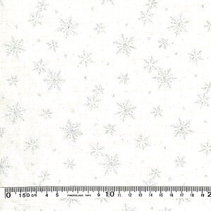 NX}Xvgnizǰ(jni30cmȏ10cmPʁjpb`[N Rbg100@fBXv[