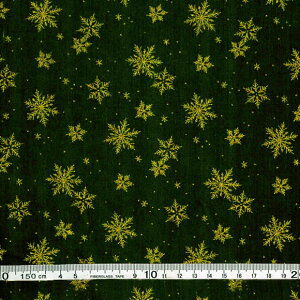 NX}Xvgnizǰ(jΒni30cmȏ10cmPʁjpb`[N Rbg100@fBXv[