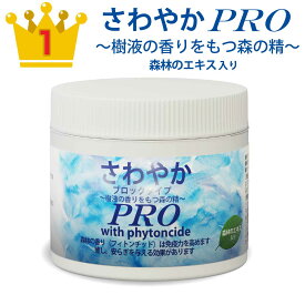 楽天市場 消臭剤の通販
