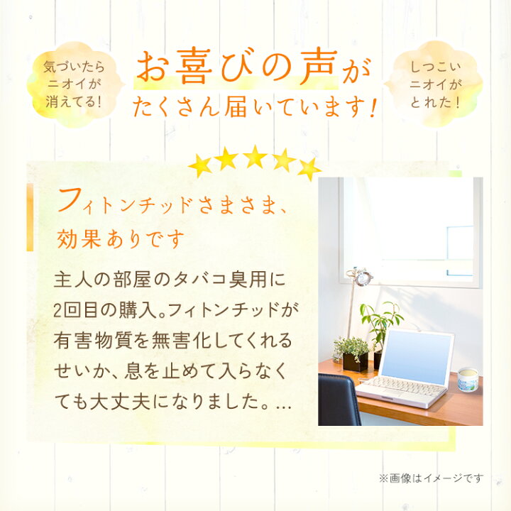 楽天市場 消臭剤部門 ランキング1位獲得 送料無料 さわやか消臭剤 トイレ お部屋のいやな臭いに 天然消臭剤 部屋 トイレ 玄関 ペットくつ箱 タバコ 嫌な臭いを元から消します 置き型 芳香剤 タバコ 車 小型 天然忌避防虫剤 シー エス シーダイレクト