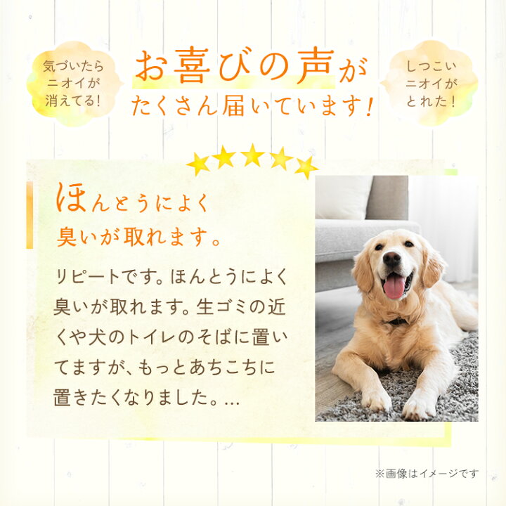 楽天市場 消臭剤部門 ランキング1位獲得 送料無料 さわやか消臭剤 トイレ お部屋のいやな臭いに 天然消臭剤 部屋 トイレ 玄関 ペットくつ箱 タバコ 嫌な臭いを元から消します 置き型 芳香剤 タバコ 車 小型 天然忌避防虫剤 シー エス シーダイレクト