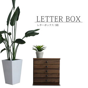 ^[P[X 38cm 5i EH[ibg C ˔ ؖ uE fXN i ؐ ޒI ^[{bNX A4  rO[ _ IV g AeB[N [BOX 