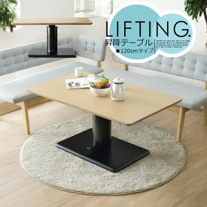 _CjOe[u rOe[u 4l|p 120cm ~e[u _CjO4l|p H \t@e[u k _ Vv 