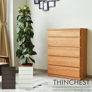 `FXg ^X [ rO`FXg ^ 60cm 97cm s30cm ؖڒ V[g 5i 5t Vv uE zCg i` X^Cv i _X _ k 