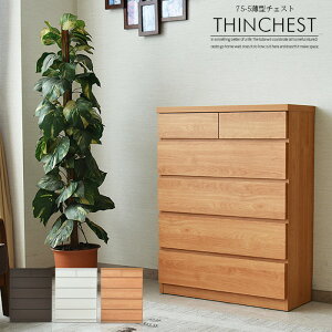 `FXg ^X [ rO`FXg ^ 75cm 97cm s30cm ؖڒ V[g 5i 6t Vv uE zCg i` X^Cv i _X _ k 