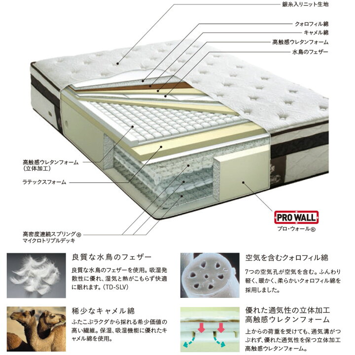 楽天市場】【先着1,000円引クーポン】【☆数量限定・特価・在庫限り 