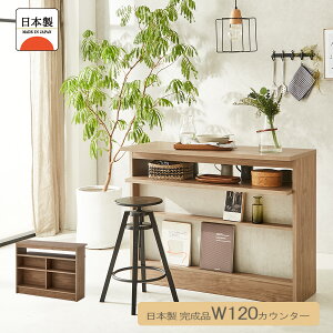 バーカウンター キッチンカウンター サイドボード リビングボード カウンター下収納 幅120cm キッチン収納 レンジ台 木目 おしゃれ 新生活 一人暮らし シリーズ 大川家具 日本製 国産