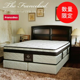 【★数量限定・特価・在庫限り】マットレス別売り FRANCEBED フランスベッド ザフランスベッド ベッドフレーム ザ・フランスベッド TFB-131 【WD】