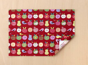 ランチョンマット  ランチクロス 縦32cm横46cm 赤 果物 額縁仕立て 子供・キッズ用 名札(氏名票)つき ネーム 幼稚園・小学校・給食用ナフキン 布製 入園 入学