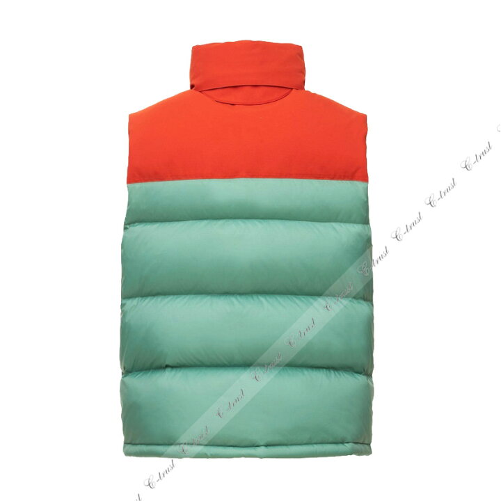 楽天市場】GUCCI × THE NORTH FACE グッチ ノースフェイス ダウン 