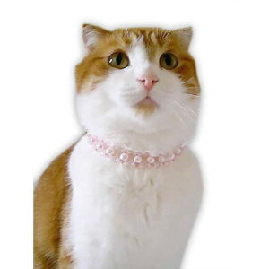 yS[S[Z[zLbgv r[YlbNXEsN 1@L̕ L LbgEGA Lp t lbNJ[ Xq lR ˂ 킢  ANZT[ RXv ϑ 