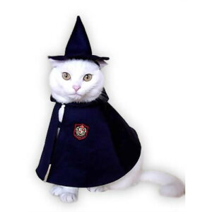 Lbgv OpX&}gZbg 1@L̕ L LbgEGA Lp t lbNJ[ Xq lR ˂ 킢  RXv ϑ U