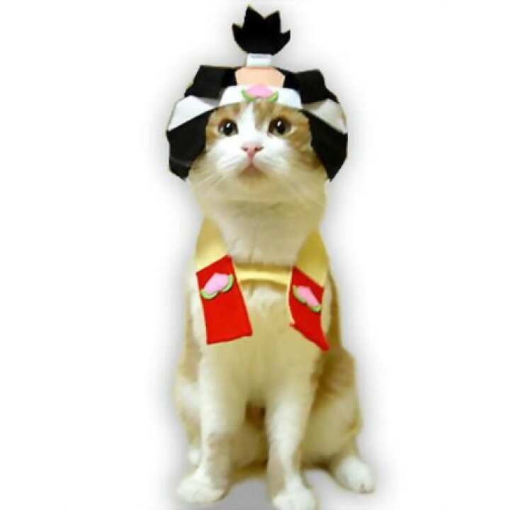 楽天市場 キャットプリン アッというまの桃太郎にゃん 1枚 猫の服 猫服 キャットウエア 猫用 付け襟 ネックカラー 帽子 ネコ ねこ かわいい おしゃれ コスプレ 変装 散歩 ファッション 記念写真 年賀状 ペット名刺 送料無料 C Vision