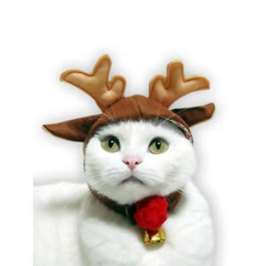 L̕ Lbgv ԕ@̃giJCXq 1@LbgEGA t lbNJ[ Xq RXv