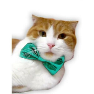 Lbgv p[eB lN^CEO[ 1@L̕ L LbgEGA Lp t lbNJ[ Xq lR ˂ 킢  RXv ϑ U