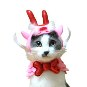 RsNhSɂZbgyPNV[1tzLbgEGA t lbNJ[ Xq RXv ybgh CN  킢 