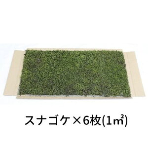 Ă銣 XiSP 280×580mm@60i10[gj뉀  ~ ۋ WI} eE RPE ǖ Ή CeA O[ Xpl XEH[ ԍ