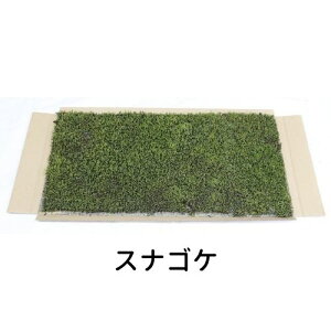 yS[S[Z[zĂ銣 XiSP 280×580mm 뉀  ~ ۋ WI} eE RPE ǖ Ή CeA O[ Xpl XEH[ ԍ