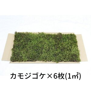 yS[S[Z[zĂ銣 JWSP 280×580mm@6i1[gj뉀  ~ ۋ WI} eE RPE ǖ Ή CeA O[ Xpl X