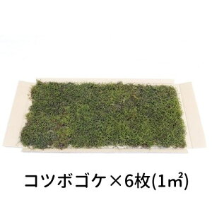 Ă銣 Rc{SP 280×580mm@6i1[gj뉀  ~ ۋ WI} eE RPE ǖ Ή CeA O[ Xpl XEH[ ԍ