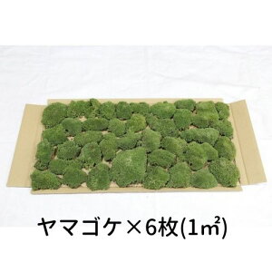 yS[S[Z[zĂ銣 }SP 15[gi280×580mm@90j뉀  ~ ۋ WI} eE RPE ǖ Ή CeA O[ Xpl XE