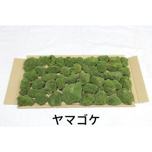 yS[S[Z[zĂ銣 }SP 280×580mm 뉀  ~ ۋ WI} eE RPE ǖ Ή CeA O[ Xpl XEH[ ԍ