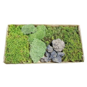 テラリウム 石 - DIY・工具の人気商品・通販・価格比較 - 価格.com