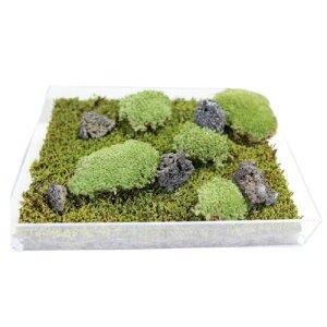 Ă銣ہuۂ̃WI}vY RP AA[g WI} eE RPE ~ ۋ CeA ԍ ۍD [NVbv