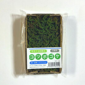 【ゴーゴーセール】【送料無料】コツボゴケ 70×120mm【3個セット】庭園 造園 盆栽 苔 ジオラマ テラリウム コケリウム インテリア グリーン モスパネル モスウォール 花材 日本製