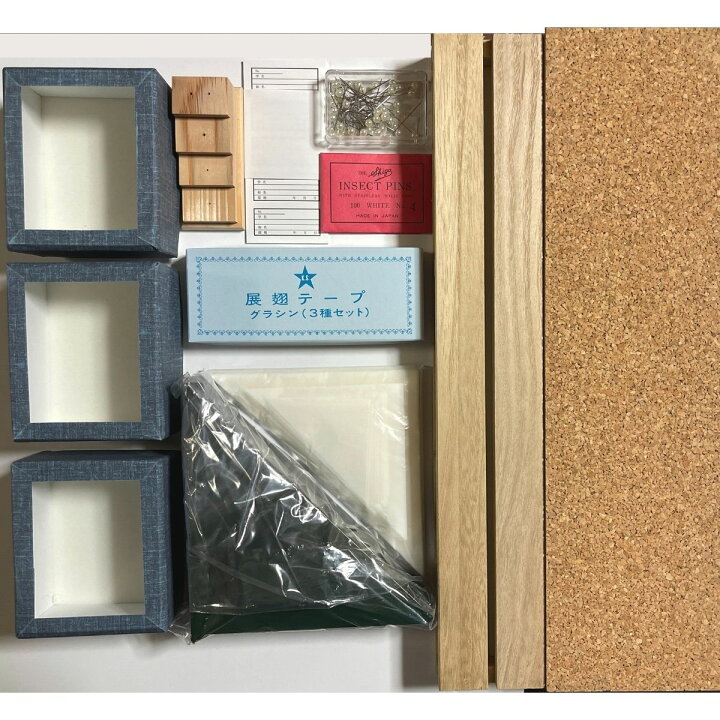 楽天市場】志賀昆虫普及社【本格昆虫標本12点セット/特々小型】チョウ 