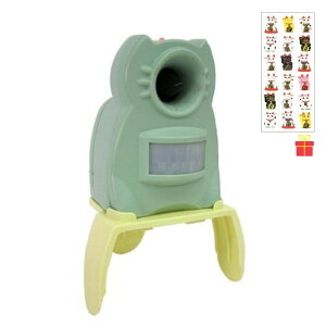 ^JCN K[foA ~j GDX-M^y^LV[1tzlR悯 L悯 ϓg Lގ L