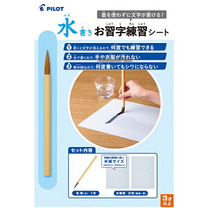 y݌ɌzPILOTipCbgjKKV[g MSN-100P nȂ wpi