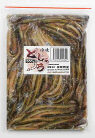 楽天市場 ドジョウ 餌の通販