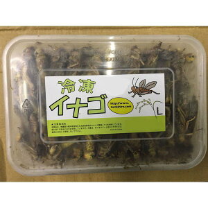 yN[֔z ⓀCiS LTCY@200g×12Zbg@Ⓚa  ^ ^  GT 