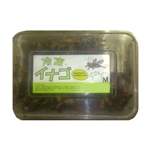 yrbOZ[zyN[֔z ⓀCiS MTCY@200g@Ⓚa  ^ ^  GT 