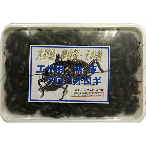 yN[֔z Ⓚ Yt^zVRIM LTCY 200g 160C@a GT  nX^[  ঒ ^Mы