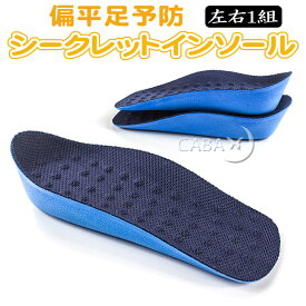 楽天市場 シークレットインソール メンズの通販