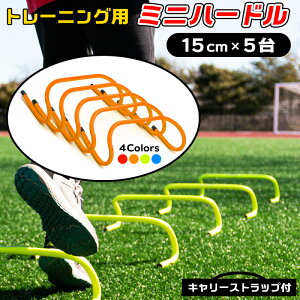 5Zbg ~jn[h 15cm g[jO [P[X L[Xgbvt ^ѕ֗  TbJ[ oXP tbgT 싅 K q ϋv sv gݗĕsv 