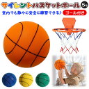 サイレントボール バスケットボール ゴール付き セット商品 5号 直径21cm バスケットリング イエロー黄色オレンジ緑グ…