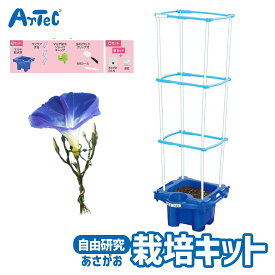 マルチラクラク あさがお 虫めがね付 Cセット 夏休み 自由研究 キット アーテック Artec 知育玩具 子供用 ユニセックス 男の子 女の子 理科 教材 植物 朝顔 栽培 観察 幼児 小学生 キッズグッズ