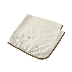 Lien de famille { uPbg  Mtg V Ԃp j̎q ̎q AtK ht@~[ oYj  킢 tH[}  Ђ X^[ O 