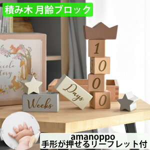 VR ςݖ؃ubN amanoppo ܂̂ coccole story xr[ tHg }^jeBtHg ` mߋ LOʐ^ ؐ RbRXg[[ SNSf Ajo[T[
