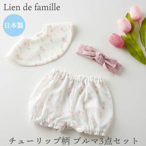 `[bv 悾ꂩ u} wA[oh3_Zbg { lien de famille ̎q V Ԃ Ԃ `[bv ԕ v[g  O hJ Mtgy`